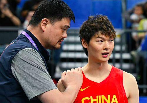 王哲林爆料视频最新版在线观看,揭秘篮球生涯幕后故事