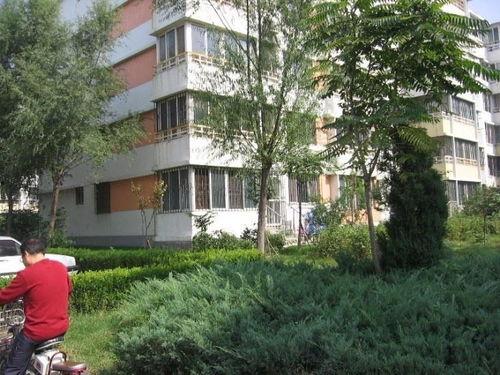 和平锦苑爆料视频最新,揭秘小区动态与民生关注