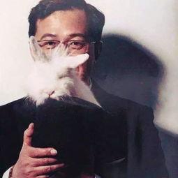 董洁卓伟爆料视频大全最新,揭秘娱乐圈背后的真相与争议