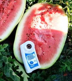 最新的瓜网红爆料,揭秘娱乐圈惊人内幕！