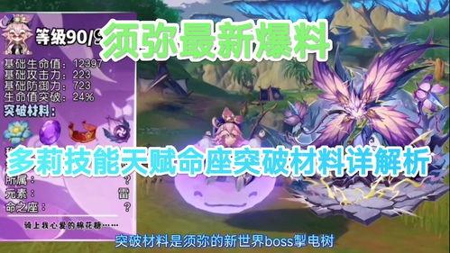 最新须弥爆料,神秘大陆揭开神秘面纱，探索未知世界之旅即将开启