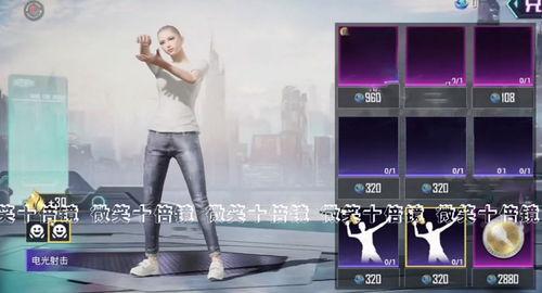 吃鸡转盘新皮肤爆料最新,独家爆料带你领略时尚风采