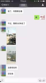 隔壁村最新爆料视频播放,揭秘最新爆料视频背后的惊人真相