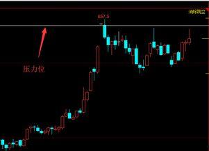 期货爆料最新分析,揭秘最新爆料分析