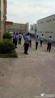 长汀五中爆料事件视频最新,真相与争议交织的校园风云